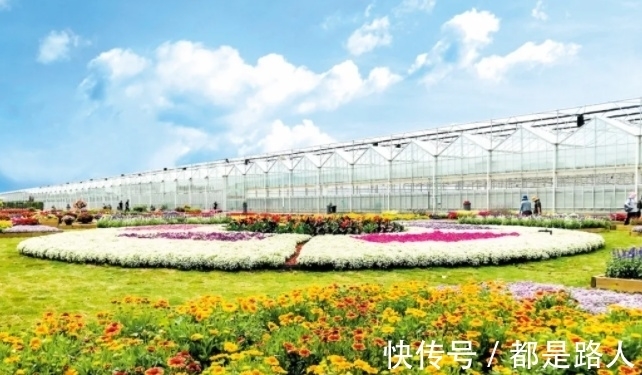 崇明区|【十佳最美花乡】这座充满“智慧”的花卉园,新年来崇明打卡吧!
