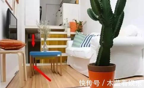 墙面|20㎡超小迷你房，日常生活功能区齐全，大胆又精致的设计