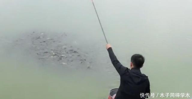 钓鱼时,肉眼能看到鱼群,但它们为什么就不上钩?真正原因竟是它
