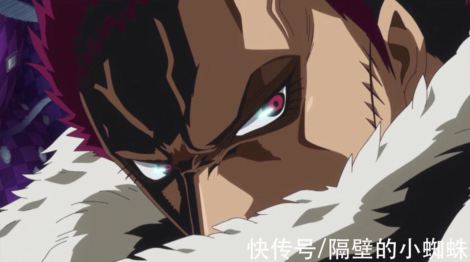 马尔科|海贼王:尾田官宣“二把手”人员,贝波太意外,索隆、希留胜出