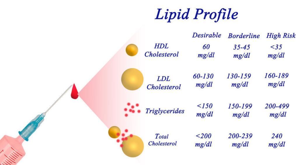 血管|甘油三酯高不一定要吃药,医生:开水里放1物,疏通血管、降血脂