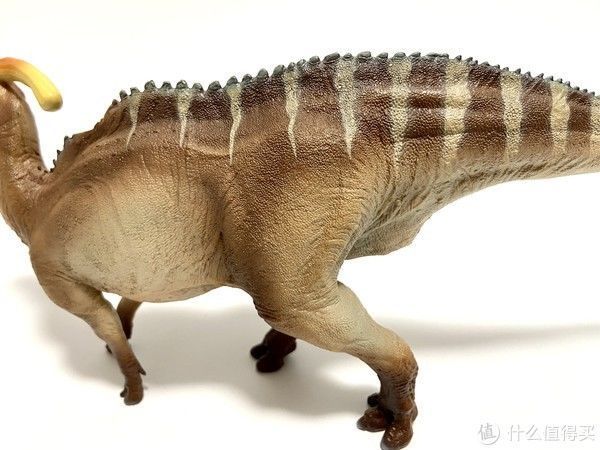 赵闯|恐龙模型 篇一:除了没有可动,其他基本完美——PNSO副栉龙把玩分享