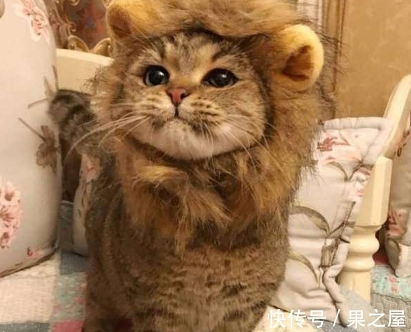 |搞笑图片幽默段子笑话:这自行车是怎么进去的,跟树都融为一体了