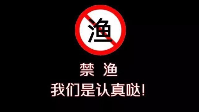 巡查|“渔”乐，这里不可以！