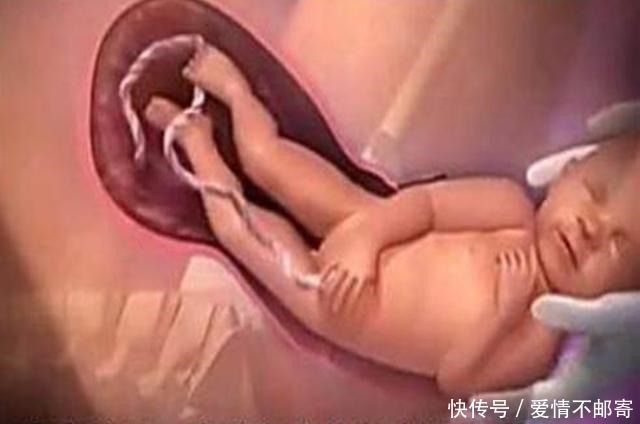 生娃|宝宝那么大，如何从狭小产道出来？了解后方知母爱多伟大！
