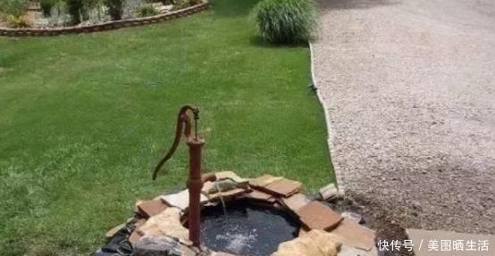 老公用轮胎“造景”盖鱼池,扔几颗碗莲,种几盆薄荷,美得不像话!