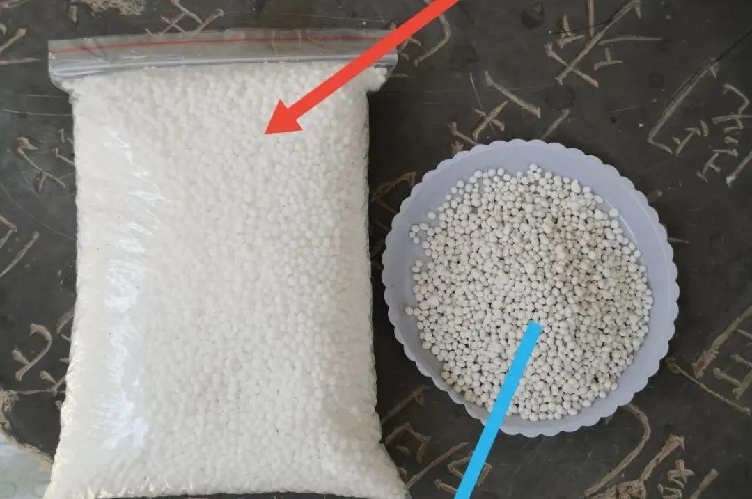 黄叶|给花浇水掺点白醋，植物根比萝卜还粗，健壮不黄叶