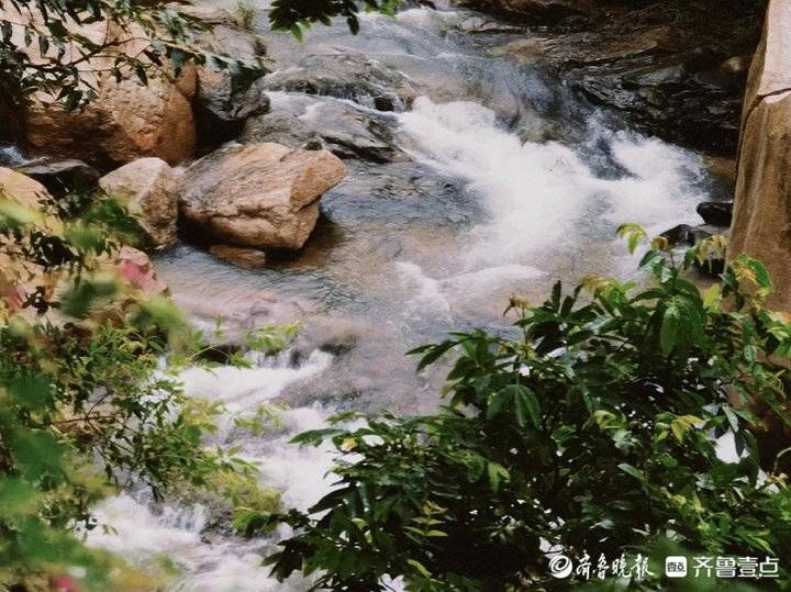 封闭|水太大，崂山北九水暂时继续封闭！青岛发布地质灾害黄色预警