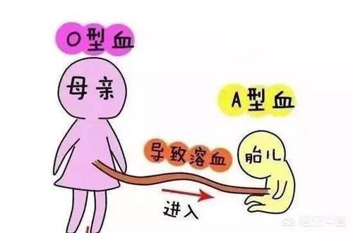 o型血|孕妇是o型血,那二胎的时候要注意哪些事情?