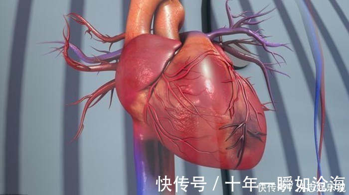 导管|血管支架能穿进人的血管，为何不直接用支架把血管里的血栓吸出