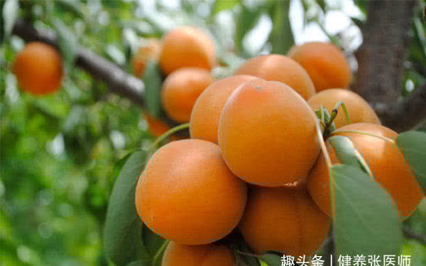 皂角米|适合女性吃的3种食物,美容养生,滋润身体,早吃早健康!