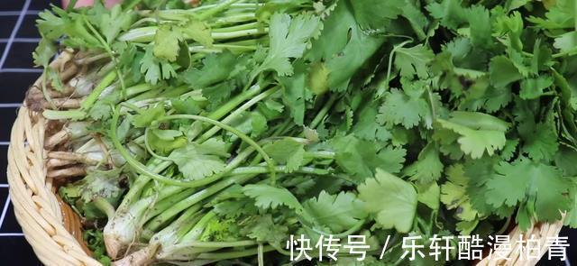 袋子|把香菜放在袋子里,放一年也新鲜,和刚买的一样,一年买两次就够