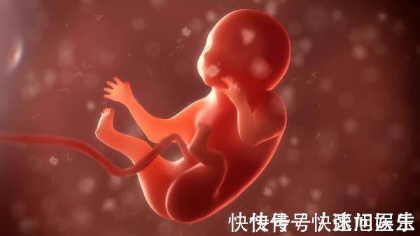 孕妇|孕期频繁做B超,对孕妇胎儿有害吗?孕期做多少次合适?