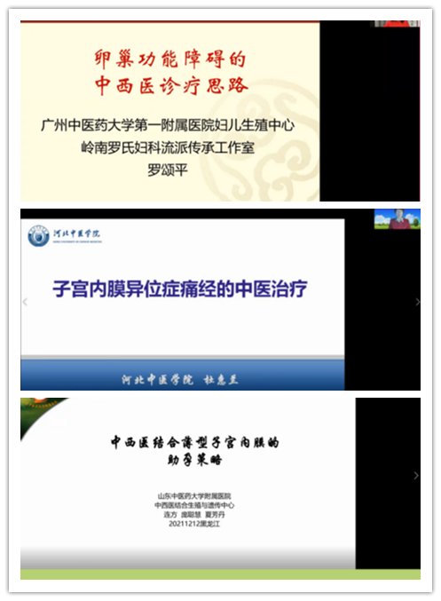 魏丽惠|点击量达2000余次！ 省中医药学会青年委员会、省医疗保健国际交流促进会中医妇科分会举行线上会议