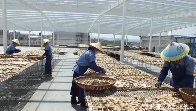 美食|我国哪里的腐乳好吃?看看这4大腐乳,不输老字号,你吃过哪种?