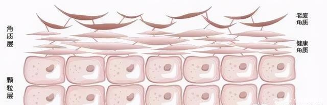 别人刷酸是蛋壳肌,你刷酸就烂脸?原因其实在这里