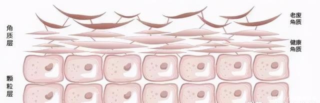 别人刷酸是蛋壳肌，你刷酸就烂脸？原因其实在这里