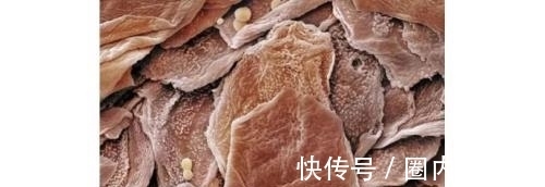 miya 护肤品不是吸收了才有用!吸收越好的护肤品风险越高,警惕
