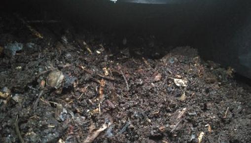 叶土|养花不用买土,自己就能做,保水又透气