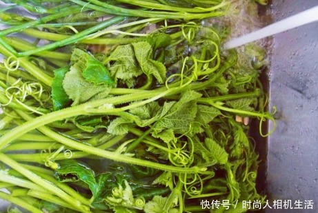 花钱|很多人都扔掉的菜,其实是个宝,润肠更通便,农村不花钱就能吃