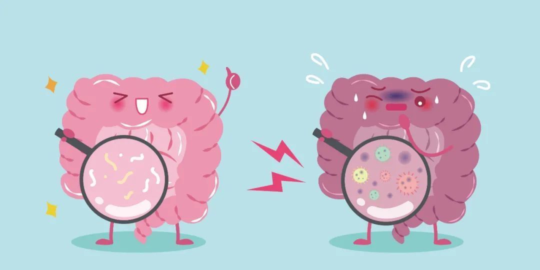 排便|便秘症状要做到“无病防,有病治”,这6种手段,不妨一试