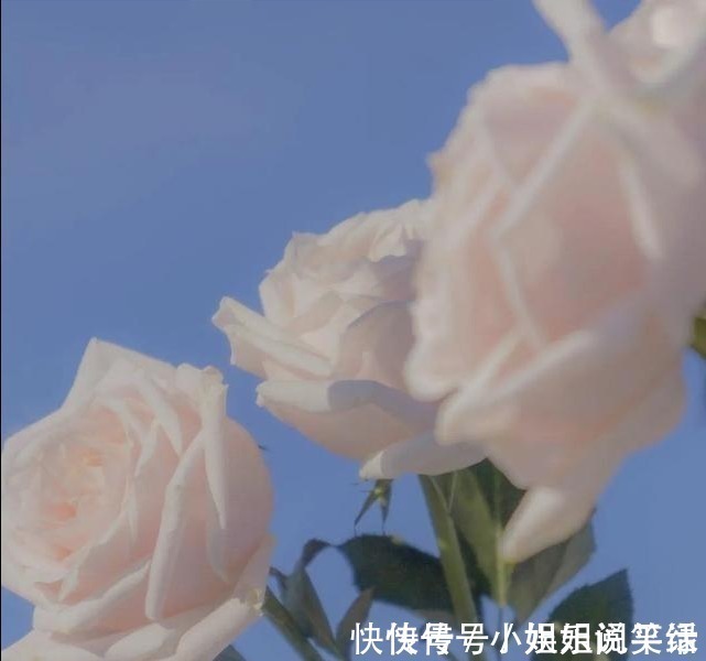 |12个让你心情变好的幽默小短句,治愈你的不开心!