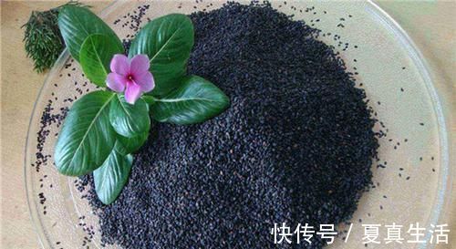 克星|痔疮的“克星”找到了,每天吃一点,消肿活血,痔疮悄悄不见