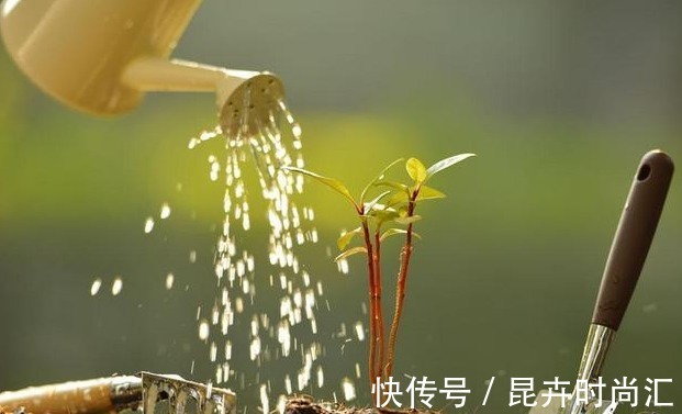 施肥|喜欢养花,先戒掉7个坏习惯,不然啥花也养不好,你占了几个?