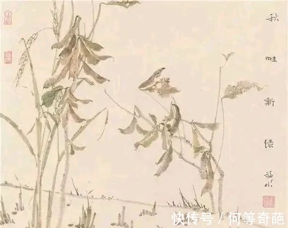 写意花鸟画！北京画院｜清清爽爽，陈福彬花鸟画