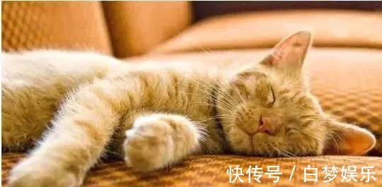 心脏病|最好的长寿法,一分钱不花!大补全身、延缓衰老、提高记忆力!