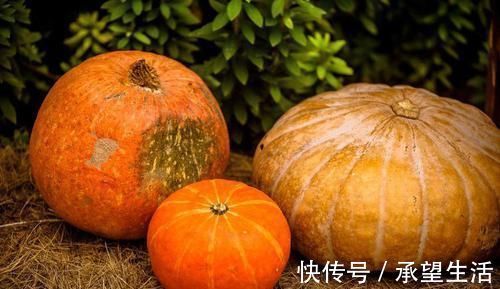 豆角|人到中年想长寿,可以坚持吃3种食物,补足气血,身体棒棒哒!