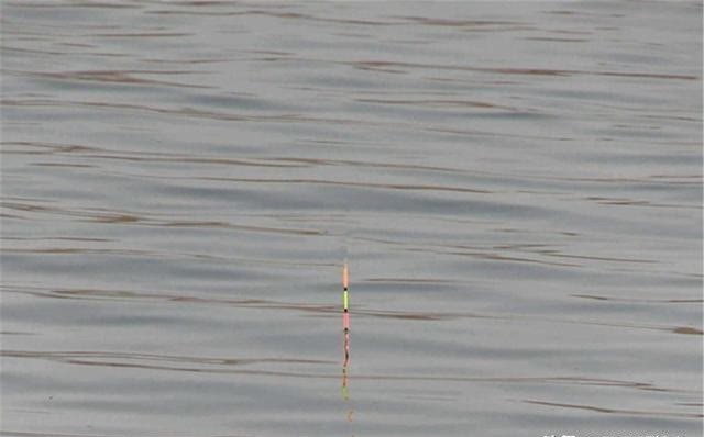 饵料|调漂方法大全:图解挂单饵调漂,状态不灵不钝,最适合野钓鲫鱼