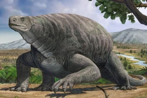  至今|至今无解的史前图书馆（一）里面有什么秘密？又给后人留下什么？