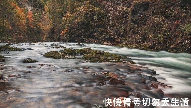 loro 卷福基努里维斯,在打造绅士这点上心有灵犀