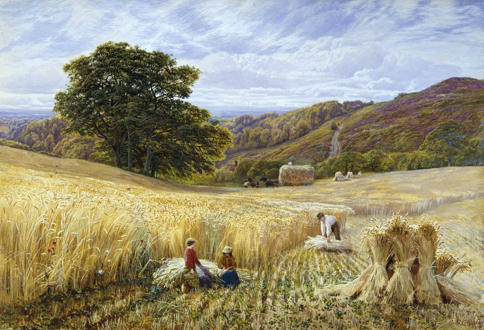 艺术学院@很美的写实风景,英国画家George Vicat Cole