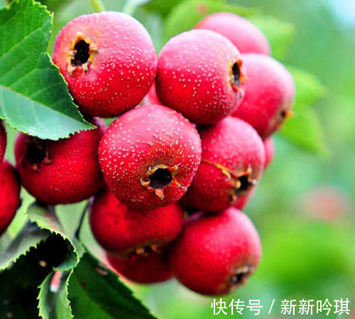 腰部|腰部赘肉太多,那就尝尝这四种“食物”吧,刮油去脂的效果很好