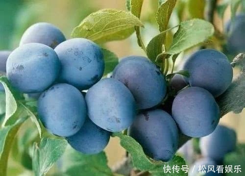 最适合女性的夏季水果,淡斑美白容颜常驻,值得分享