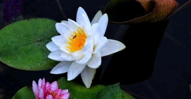 世事|(续写)我的家族世事之略序