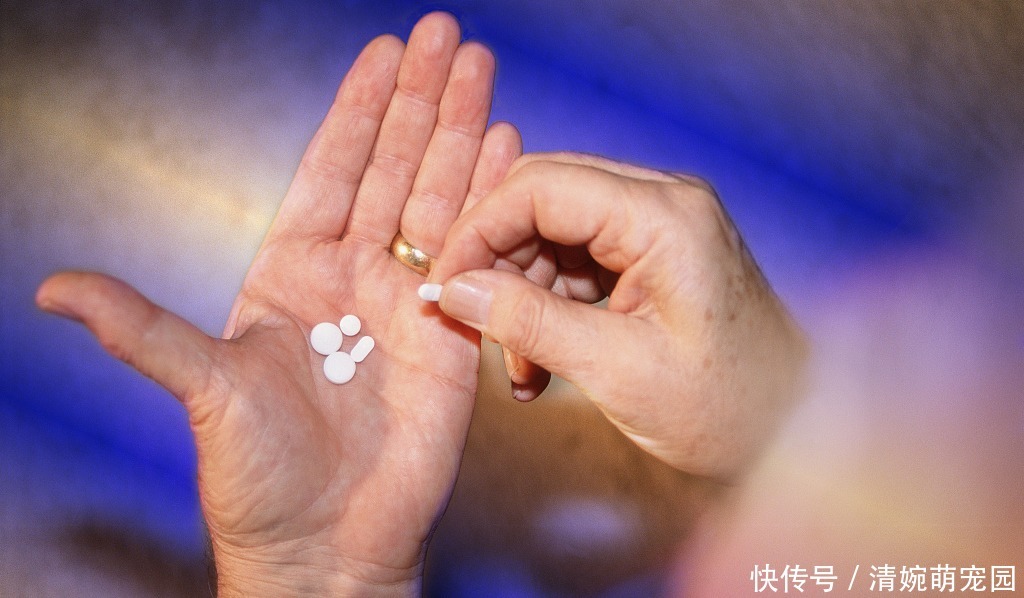 十几块钱100片的谷维素,便宜又好用,这几种病或许都能派上用场