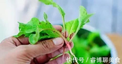 堵塞|血管堵塞不用怕,日常多食用此几物,帮你疏通血管,远离三高