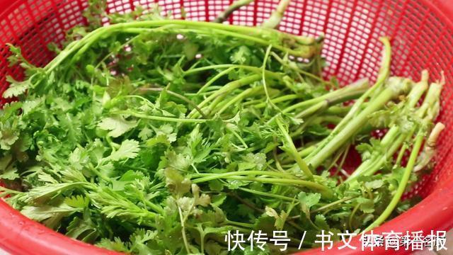 名厨|终于找到香菜好吃的做法,香辣开胃又解馋,做一次能吃一个月