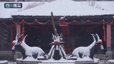 降雪|赏雪时间到！四川多地降雪变晶莹世界