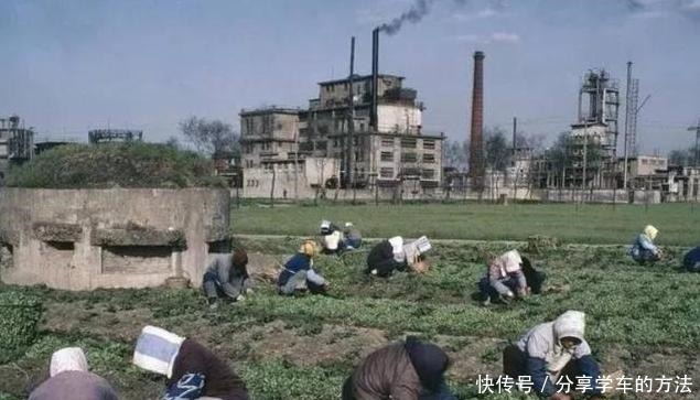 医生建议想养胃,这几种蔬菜要少吃,胃或会慢慢好起来!