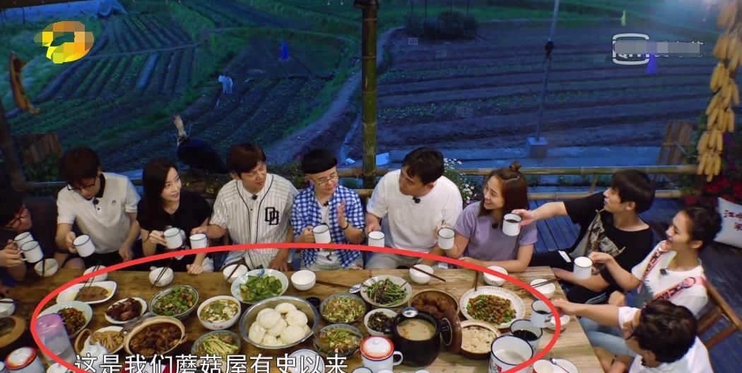 口碑|曾经备受欢迎的慢生活综艺《向往的生活》,为什么口碑不断下滑?