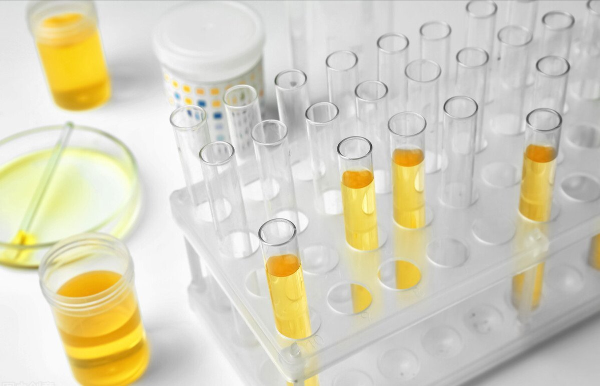 复方血栓通胶囊|3个中成药,多靶点改善糖尿病微血管病变,减少尿蛋白保护肾功能