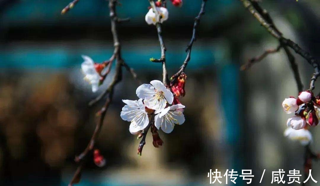 韦应物$哲理诗三首,世事荏苒几盈虚,茫茫难自料,心态最重要