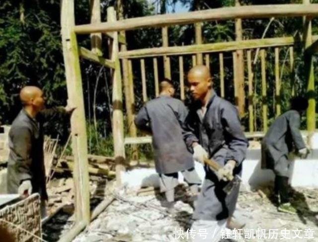 放弃|30个研究生放弃高薪职位,剃度出家,两年后他们怎样了