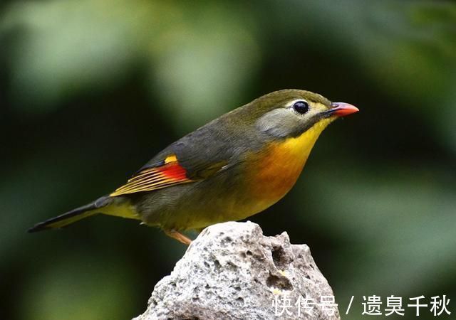 琵琶行!白居易一首冷门情诗,通俗易懂,感情真挚,很多人以为是现代诗