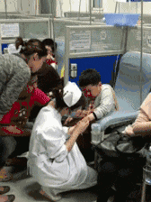 |搞笑GIF段子:家里的蚊帐都快被这傻狗的玩坏了