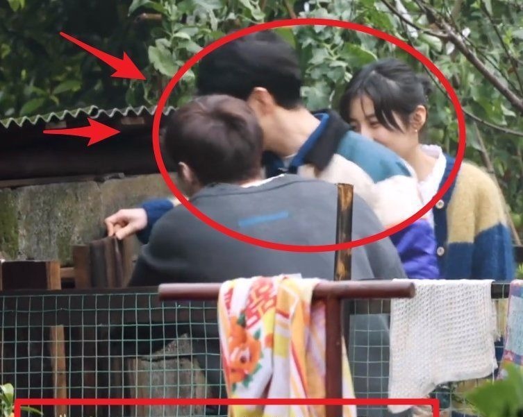 張藝興去雞窩掏雞蛋，看到張子楓的舉動，變開朗了還變調(diào)皮了